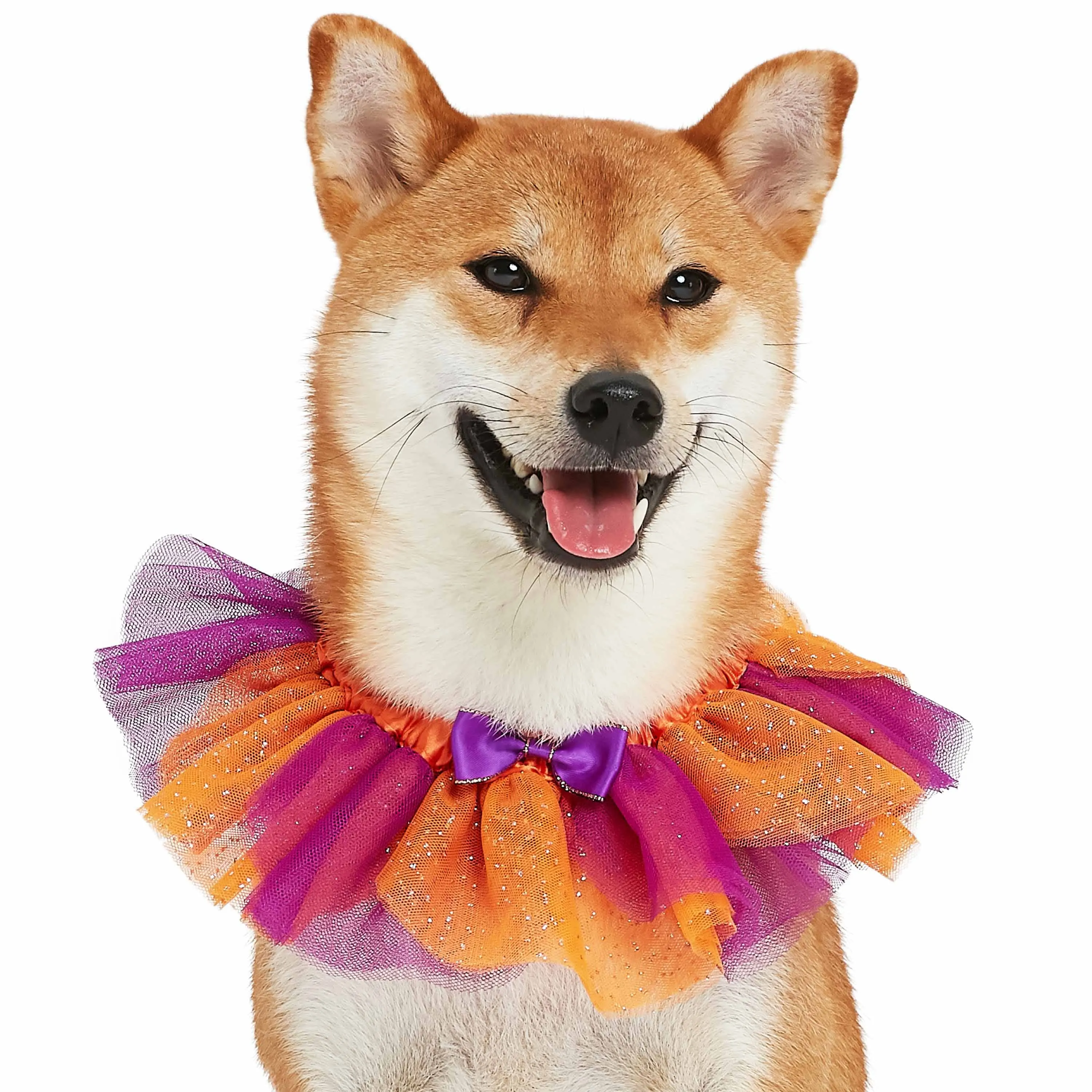 Halloween Thanksgiving Party Costume Dog Collar in Warm Tone